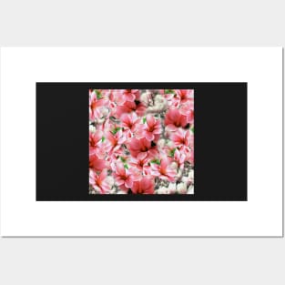 Pink magnolias, digital flower print Posters and Art